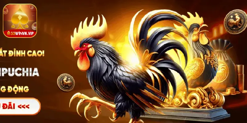 Đá gà 33Win nhiều ưu đãi 